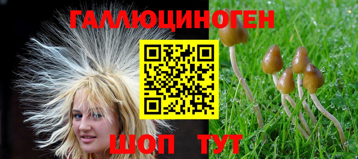 Галлюциногенные грибы мухоморы  Псилоцибиновые грибы GOLDEN TEACHER  Вход с VPN  Баксан 